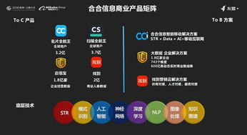 合合信息榮膺2018上海軟件雙百?gòu)?qiáng)，以人工智能驅(qū)動(dòng)創(chuàng)新未來(lái)